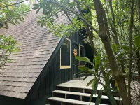 A-frame Blue Ridge Parkway Cabin - Pet Friendly