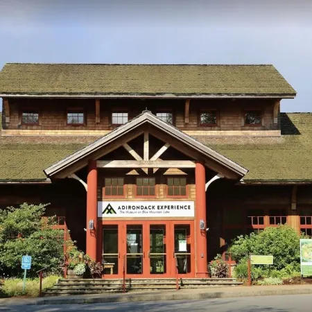 NEW ADIRONDACK LUXURY CABIN WITH YEAR-ROUND HEATED PLUNGE POOL