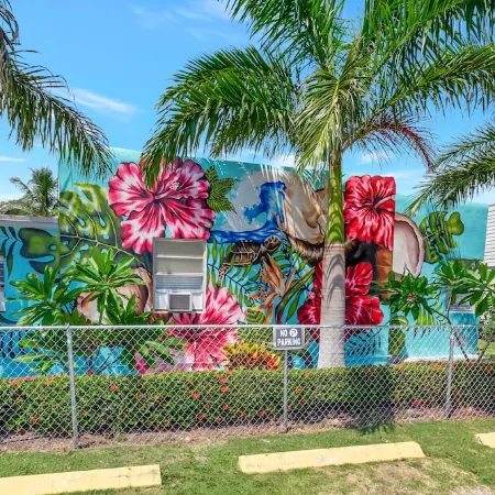 Spacious studio, 2 blks walk to Ave, close to beach, pets allowed, free parking
