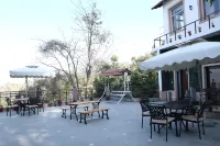 Woodsvilla Resort Ranikhet فنادق في Turkaura