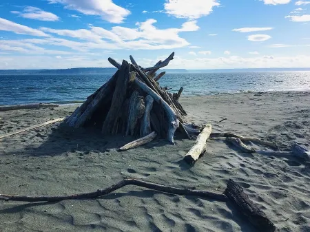 Charming 2-bedroom cottage with AC, High Speed WiFi in gorgeous Hansville.