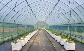 Uljin Wangpicheon Healing Farm Pension