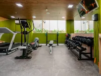 Ibis Styles Manaus - Gym