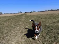 Keeper's Lodge A Dog Friendly Escape To The Country