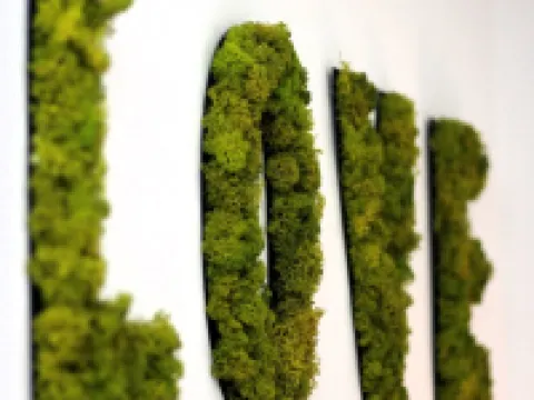 Vacation apartment Die Idyllische with sauna 克萊夫酒店