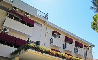 Hotel New Primula