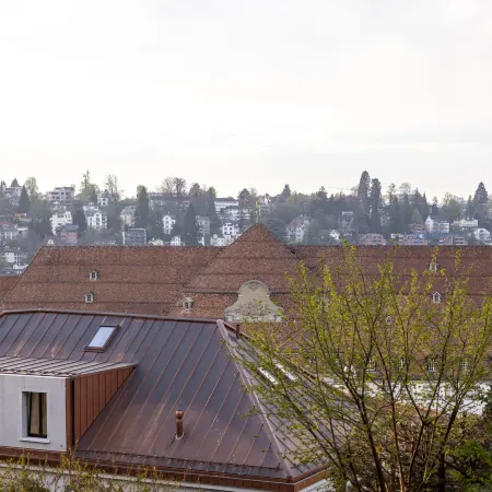 Visimo Apartments St Gallen Mühlensteg - Elegant Quiet Central