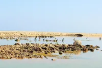 Tiwi Sunrise Hoteles en Tiwi