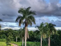 Tierra Adentro Bed and Breakfast فنادق في هيوماكاو