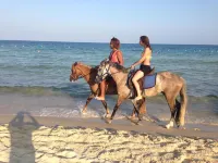 Appartement Nabeul Plage - Strand