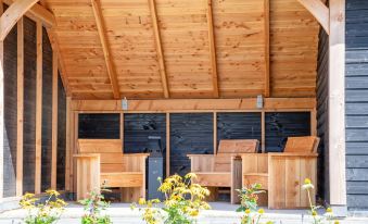 Villa on Texel Near Wadden Sea & Bird Area