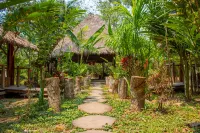 Tronco Tambopata Adventure