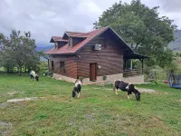 Matan House