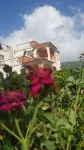 Beautiful 1-Bed Apartment in Saint George's Hotels in St. George