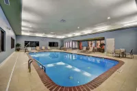 Holiday Inn Express & Suites GREENVILLE AIRPORT by IHG - Wifi