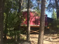 Brand New Yurts in the wilds of MT-Stay @ GNP like no other! 7mi. from W Glacier