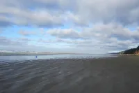 Dog-friendly cottage w/ beach access & ocean view from living room Hotels in Moclips