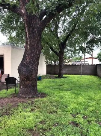 The Desert Rose: Cheerful 3 Bedroom in Great Location!