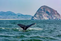 Charming Beachside Bungalow w/ Light & Airy D'cor -- 300 Yards to Beach 모로베이 호텔