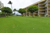 Ocean View Lanai and Exciting Daily Activities - Gorgeous Coastal Haven