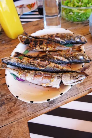 FreeSurfCamp & Hostel