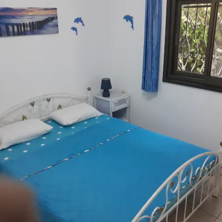 Tamer Guest House