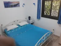 타메르 게스트 하우스