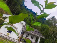 Hill House Haldummulla Отели рядом с достопримечательностью «Uva Management Development Institute»