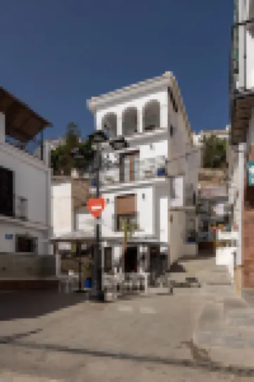 Olive & Ivy Guesthouse