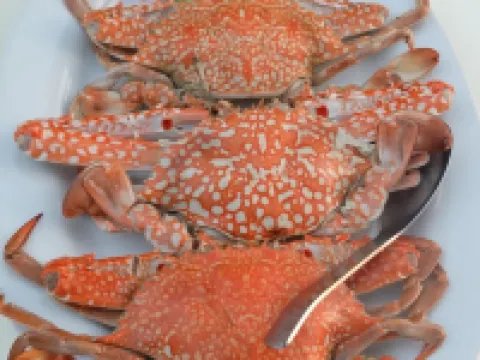 ปากเมง รีสอร์ท โรงแรมในอำเภอ สิเกา