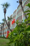 Casa Loma Panama City Beach - Beachfront Hotels in Bay County