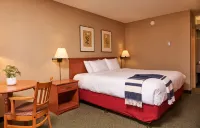 Marmot Lodge Jasper Hotels in Jasper