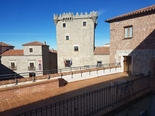 Hotel El Rastro - Palacio Duque de Tamames - Hotels in Avila
