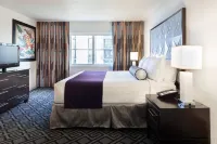 Solara Surfside Hotel di Surfside