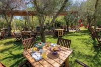 Bio Agriturismo Salos 奧特朗托住宿飯店