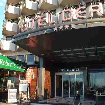 德里奇酒店 Hotel Exterior