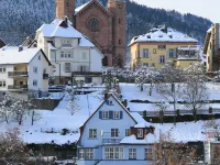 Das Waldhaus (Hotel) Hotels in Forbach