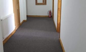 The Bear on the Square