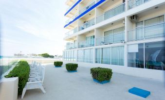 Salvia Cancun Aparts