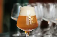 Blesius Garten - bar