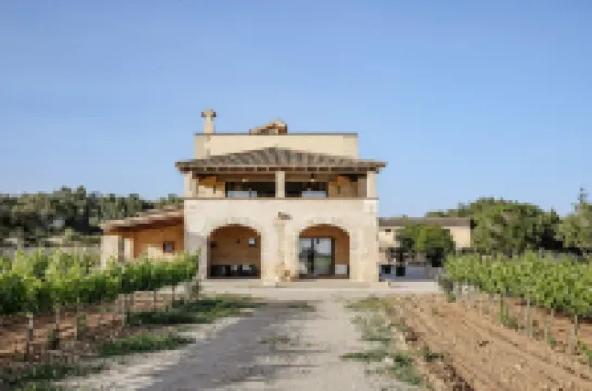 핀카 고메라, 럭셔리 컨트리 하우스