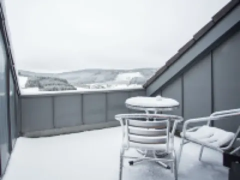 Wohnung Mit Balkon in der Nhhe Von Winterberg Hotels in Niedersfeld