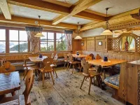 Alpengasthof Hochsöll Hotels in Soll