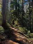 Oak Valley Retreat Homestay Hostel Cafe Hotels in Kaluk