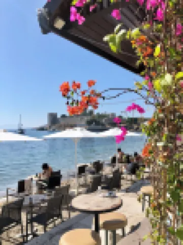 沖浪者大篷車美食酒吧及套房