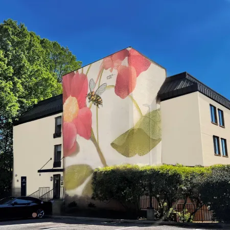 Hive House