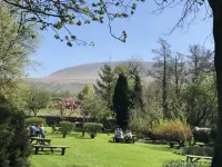 Calf's Head Hotel - parking