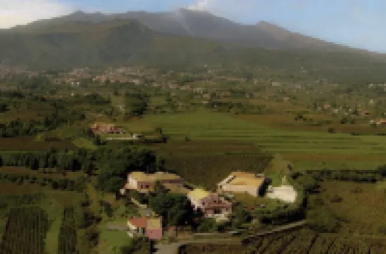 โรงแรมเอทเนอา 316