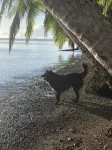 Terrazas del Golfo - Beach