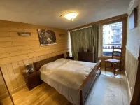 Right in the center, 400m from the slopes: south-facing apartment - 90 M2 with fireplace